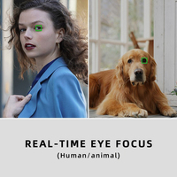 كاميرا سوني a7 III A7M3 ذات إطار كامل بدون مرآة كاميرا رقمية مع عدسة 28-70 مللي متر كاميرا مدمجة تصوير احترافي (جديد) - الصورة 4